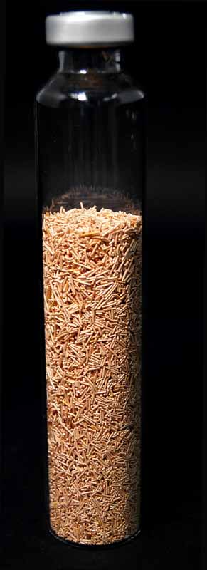 Copper Wires Fine Wires Reduced 4 x 0.5 mm 100 g

9 UN3077 NOT RESTRICTED
Special Provision A197