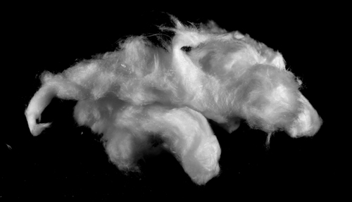 Alumina (Aluminium Oxide) Wool Fine 05000086 20 g