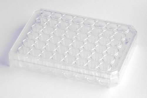 Multiwell-Plate-48-Cell-Flat-Bottom